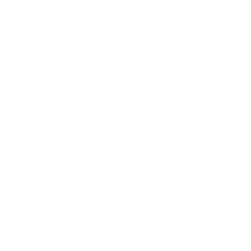 NT Financials