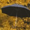 Umbrella Insurance Policy in Dallas
