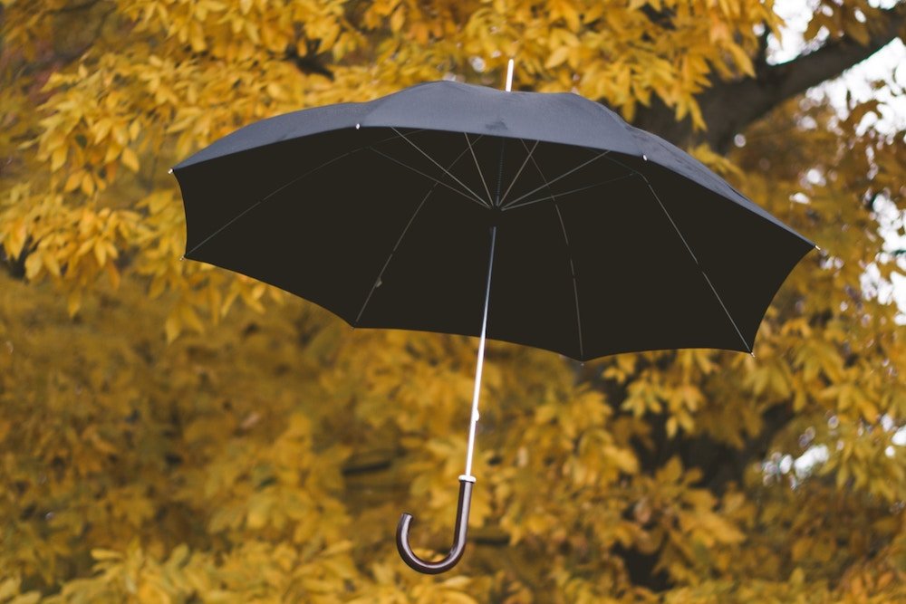 Umbrella Insurance Policy in Dallas