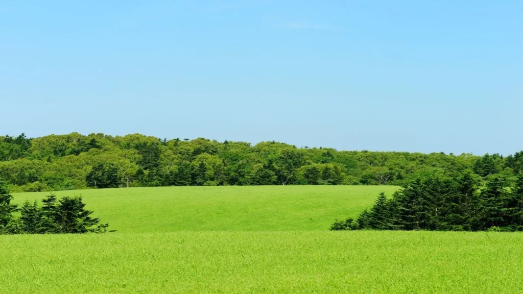 This image has an empty alt attribute; its file name is LandInsuranceinCalifornia-1920w-1024x576.webp